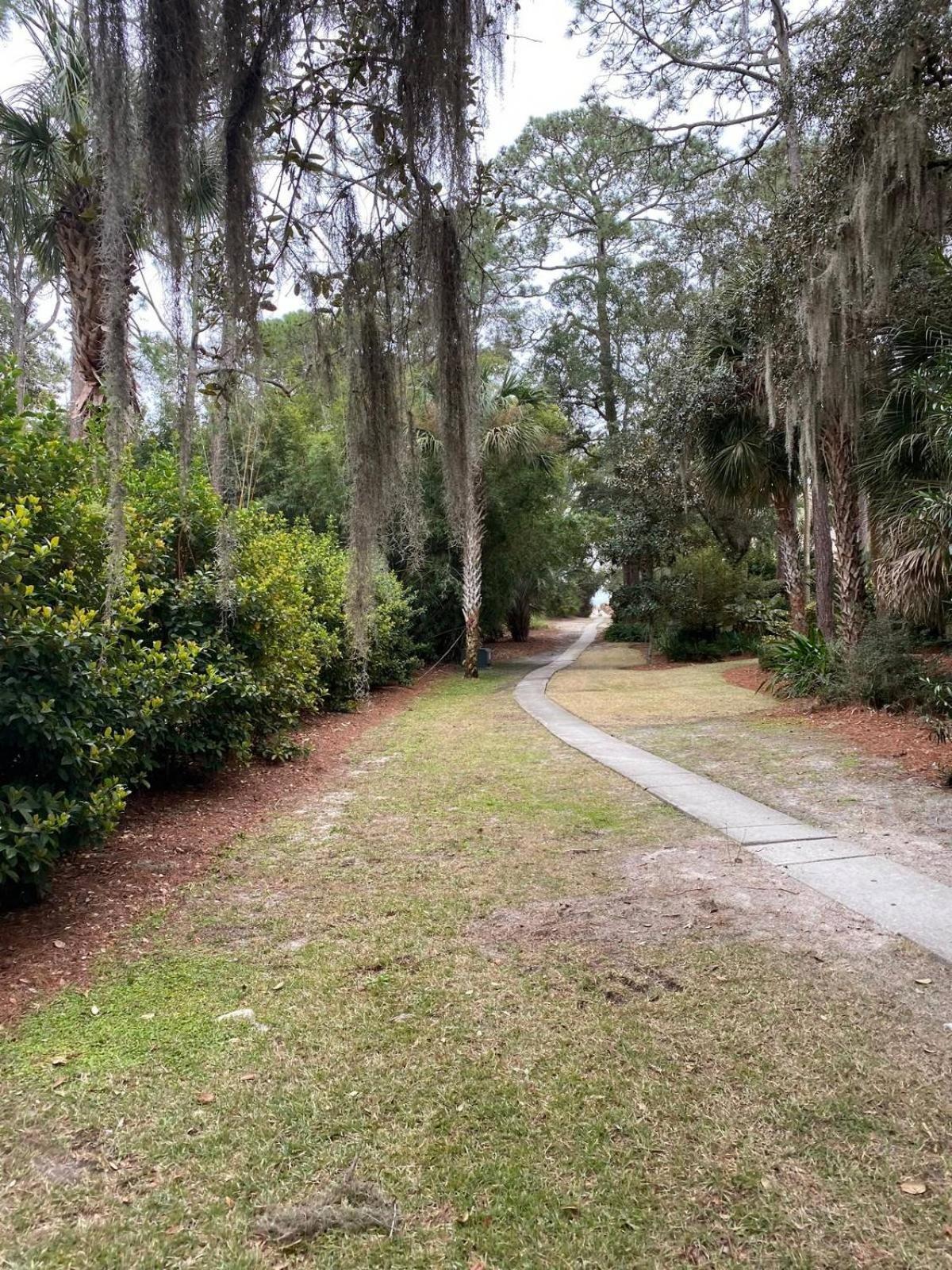 6 Wood Ibis - Host2Coast Villa Hilton Head Island Exteriör bild