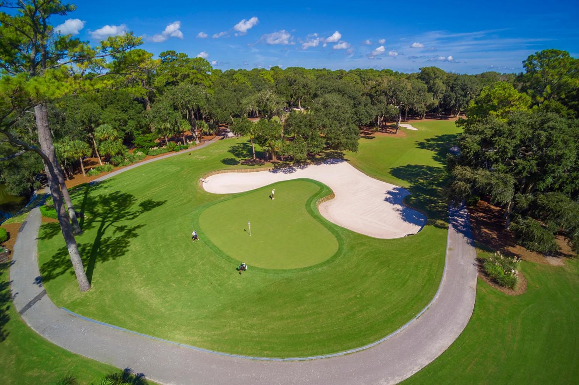 6 Wood Ibis - Host2Coast Villa Hilton Head Island Exteriör bild